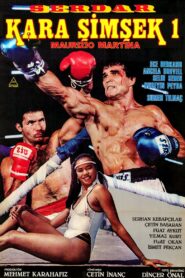 Black Lightning 1985 on netflix