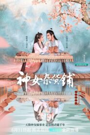My Chinese Chic Boutique 2023 on netflix