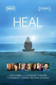 Heal 2017 on netflix