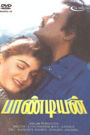 Pandiyan 1992 on netflix