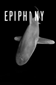 Epiphany 2016 on netflix