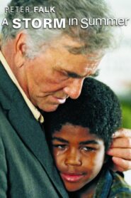 A Storm in Summer 2000 on netflix
