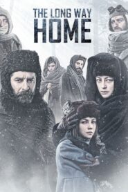 The Long Way Home 2013 on netflix