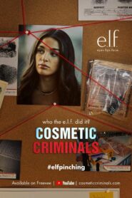 Cosmetic Criminals 2024 on netflix
