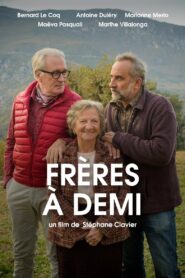 Frères à demi 2016 on netflix