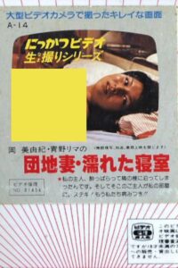 Apartment Wife: Wet Bedroom 1981 on netflix