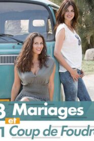 Trois mariages et un coup de foudre 2016 on netflix