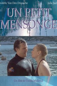 Un petit mensonge 2009 on netflix
