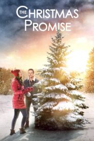 The Christmas Promise 2021 on netflix
