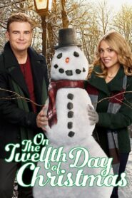 On the Twelfth Day of Christmas 2015 on netflix