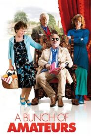 A Bunch of Amateurs 2008 on netflix