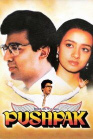 Pushpaka Vimana 1987 on netflix