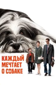 Everyone Dreams of a Dog 2024 on netflix