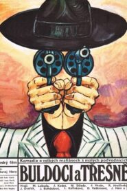 Bulldogs and Cherries 1981 on netflix
