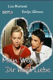 Mein Weg zu dir heißt Liebe 2004 on netflix