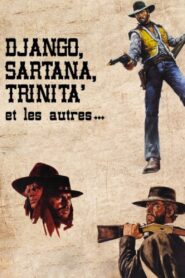 Django, Sartana, Trinita’ et les autres… 2014 on netflix
