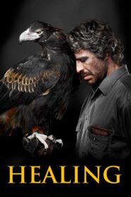 Healing 2014 on netflix
