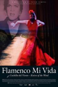 Flamenco mi vida – Knives of the wind 2008 on netflix