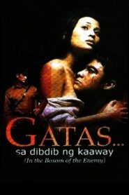 In the Bosom of the Enemy 2001 on netflix
