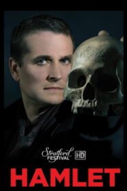 Hamlet 2016 on netflix