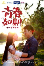 Youth on Schedule 2013 on netflix