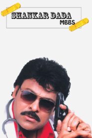 Shankar Dada MBBS 2004 on netflix