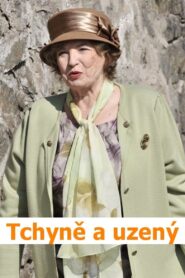 Tchyně a uzený 2011 on netflix