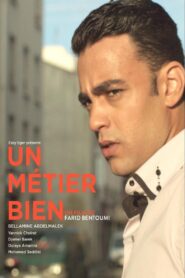 Un Métier Bien 2015 on netflix