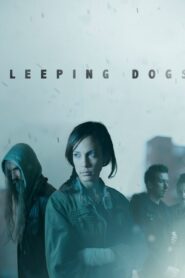 Sleeping Dogs 2013 on netflix
