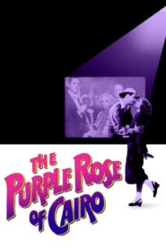 The Purple Rose of Cairo 1985 on netflix