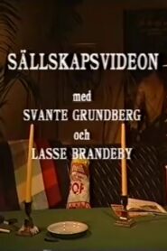Sällskapsvideon 1993 on netflix