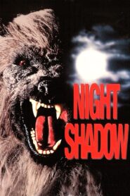 Night Shadow 1989 on netflix