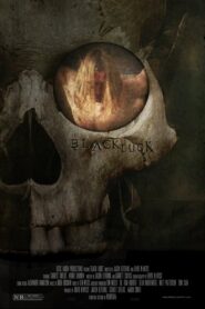 Black Luck 2016 on netflix