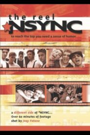 The Reel NSYNC 2002 on netflix