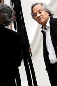 The Year of Anish Kapoor 2009 on netflix