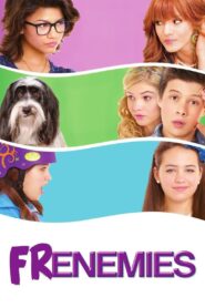 Frenemies 2012 on netflix