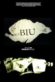 Biu, a Vida Real Não Tem Retake 1995 on netflix