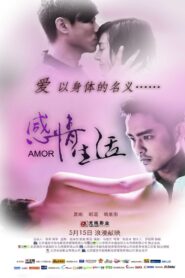 Ganqing shenghuo 2010 on netflix
