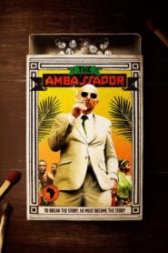 The Ambassador 2011 on netflix