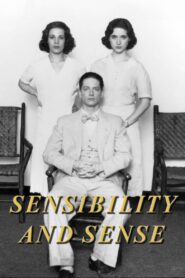 Sensibility and Sense 1990 on netflix