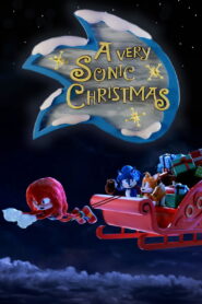 A Very Sonic Christmas 2024 on netflix