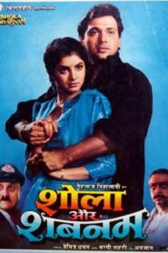 Shola Aur Shabnam 1992 on netflix