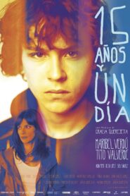 15 Years and One Day 2013 on netflix