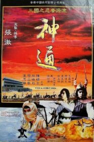 Ninja in Ancient China 1993 on netflix