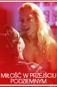 Love in an Underground Passage 2007 on netflix