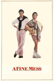 A Fine Mess 1986 on netflix