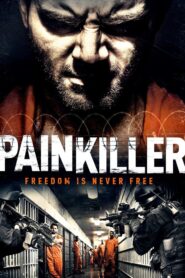 Painkiller 2013 on netflix