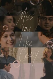 Miss You Like Crazy 2010 on netflix
