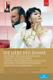 Die Liebe der Danae 2017 on netflix