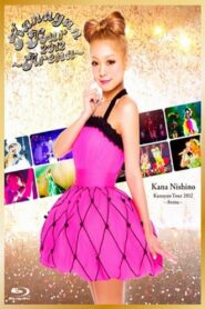 Kanayan Tour 2012 ～Arena～ 2013 on netflix
